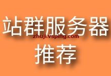 站群服务器-国外主机测评 - 国外VPS，国外服务器，国外云服务器，测评及优惠码