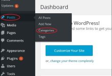 WordPress 编辑类别-国外主机测评 - 国外VPS，国外服务器，国外云服务器，测评及优惠码