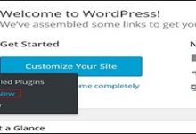 WordPress 插件定制-国外主机测评 - 国外VPS，国外服务器，国外云服务器，测评及优惠码