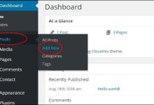 WordPress 添加帖子-国外主机测评 - 国外VPS，国外服务器，国外云服务器，测评及优惠码