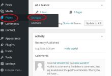 WordPress 删除链接-国外主机测评 - 国外VPS，国外服务器，国外云服务器，测评及优惠码