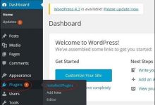 WordPress 插件设置-国外主机测评 - 国外VPS,国外服务器,国外云服务器,测评及优惠码