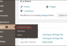 WordPress 垃圾邮件防护-国外主机测评 - 国外VPS，国外服务器，国外云服务器，测评及优惠码