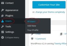 WordPress 用户删除-国外主机测评 - 国外VPS，国外服务器，国外云服务器，测评及优惠码