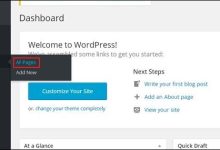 WordPress 编辑页面-国外主机测评 - 国外VPS，国外服务器，国外云服务器，测评及优惠码