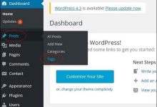 WordPress 添加标签-国外主机测评 - 国外VPS，国外服务器，国外云服务器，测评及优惠码