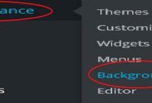 WordPress 背景-国外主机测评 - 国外VPS，国外服务器，国外云服务器，测评及优惠码