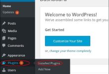 WordPress 查看插件-国外主机测评 - 国外VPS，国外服务器，国外云服务器，测评及优惠码