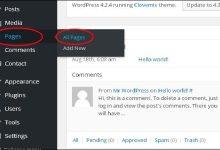 WordPress 添加链接-国外主机测评 - 国外VPS，国外服务器，国外云服务器，测评及优惠码