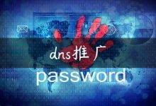 dns推广-国外主机测评 - 国外VPS，国外服务器，国外云服务器，测评及优惠码