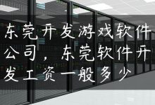 东莞开发游戏软件公司，东莞软件开发工资一般多少-国外主机测评 - 国外VPS，国外服务器，国外云服务器，测评及优惠码