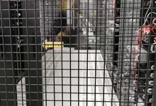 什么是物理服务器？与云服务器的差异是什么？-国外主机测评 - 国外VPS，国外服务器，国外云服务器，测评及优惠码