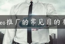 seo推广的常见目的有-国外主机测评 - 国外VPS，国外服务器，国外云服务器，测评及优惠码