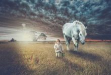 比格云是干嘛的-国外主机测评 - 国外VPS，国外服务器，国外云服务器，测评及优惠码