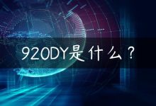 920DY是什么？-国外主机测评 - 国外VPS，国外服务器，国外云服务器，测评及优惠码