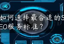 如何选择最合适的SEO服务标准？-国外主机测评 - 国外VPS，国外服务器，国外云服务器，测评及优惠码