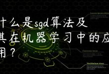 什么是sgd算法及其在机器学习中的应用？-国外主机测评 - 国外VPS，国外服务器，国外云服务器，测评及优惠码