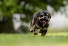 域名主机历史,动态域名主机不能正常访问怎么办-国外主机测评 - 国外VPS,国外服务器,国外云服务器,测评及优惠码