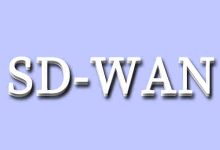 SD-WAN如何提供对网络应用的智能路由和分流？-国外主机测评 - 国外VPS，国外服务器，国外云服务器，测评及优惠码