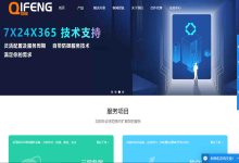 QIFENG美国母鸡服务器提供多少个IP？配额满足不同需求-国外主机测评 - 国外VPS，国外服务器，国外云服务器，测评及优惠码