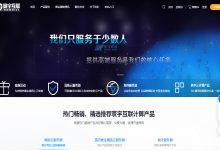 寰宇互联香港高防BGP服务器租用的价格优势-国外主机测评 - 国外VPS，国外服务器，国外云服务器，测评及优惠码