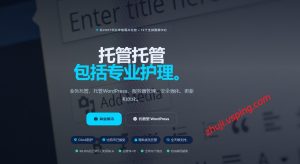 underhost：荷兰服务器，防弹主机，无视版权抗投诉，不限内容-国外主机测评 - 国外VPS，国外服务器，国外云服务器，测评及优惠码
