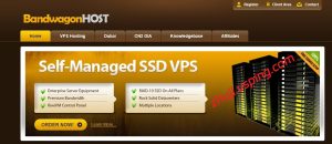 口碑顶流美国 VPS 搬瓦工 Bandwagonhost，CN2 GIA 线路适配国内访问-国外主机测评 - 国外VPS，国外服务器，国外云服务器，测评及优惠码
