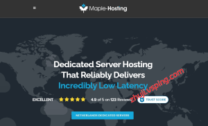 【黑五】Maple-Hosting荷兰抗投诉服务器｜月付$199起｜1Gbps全双工不限流量｜多支付支持-国外主机测评 - 国外VPS，国外服务器，国外云服务器，测评及优惠码