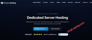 #黑五# maple-hosting 荷兰抗投诉独立服务器 $199 / 月起，1Gbps 全双工不限流量-国外主机测评 - 国外VPS，国外服务器，国外云服务器，测评及优惠码